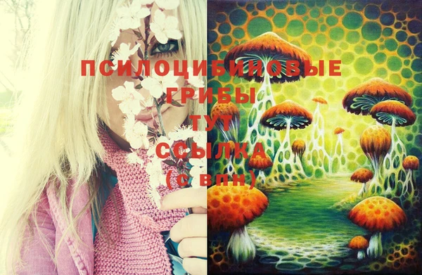 амф Белоозёрский